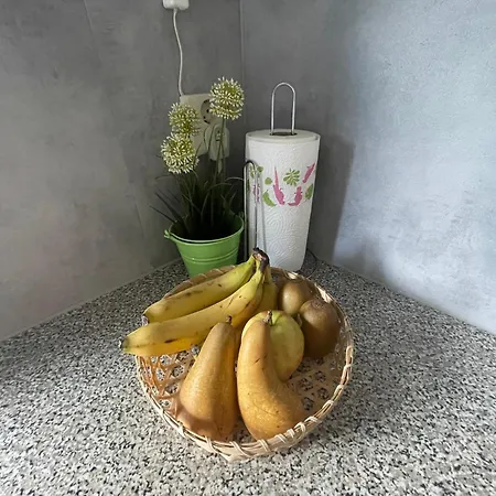 Vakantiehuis Am 45 Dummer